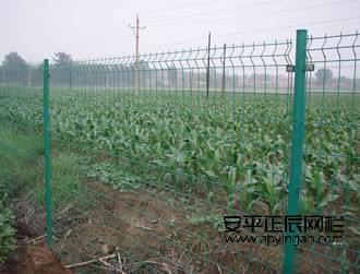 未命名-1.jpg