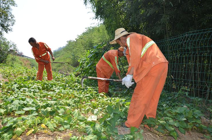 公路隔離柵