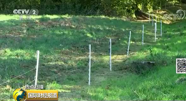電圍欄網(wǎng)