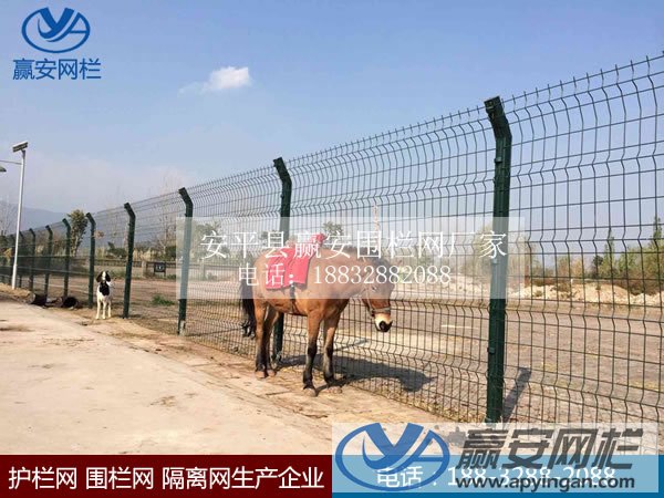 框架護欄網(wǎng)
