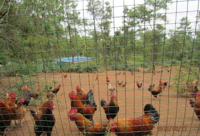 養殖圍欄網5