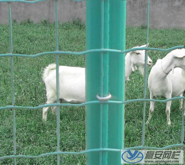 養殖圍欄網1