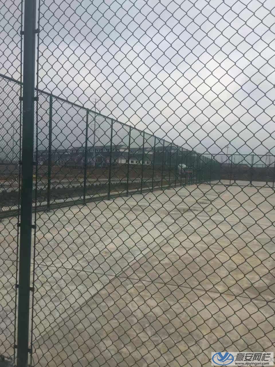 體育場圍網