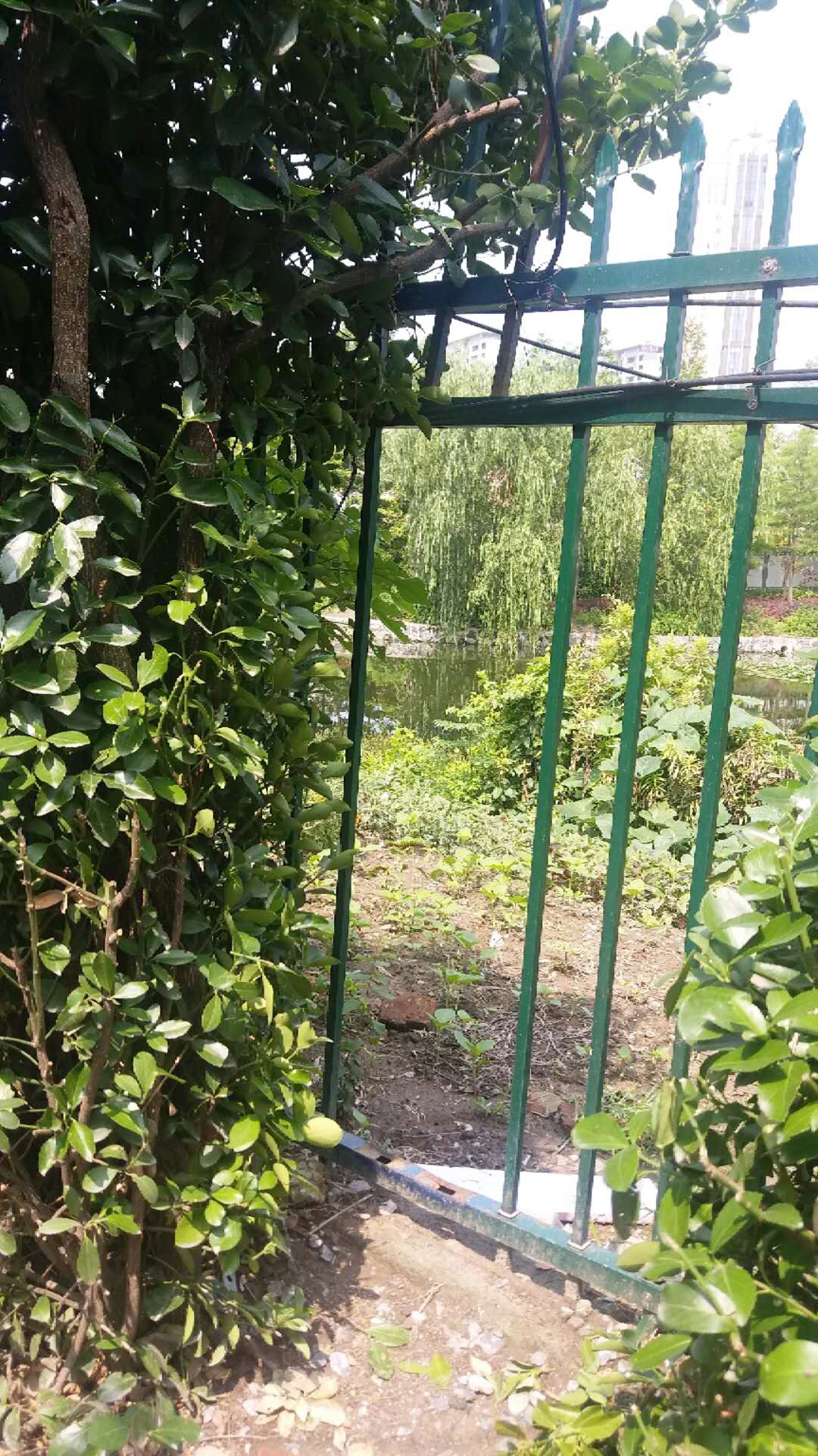 沿河鋅鋼護(hù)欄