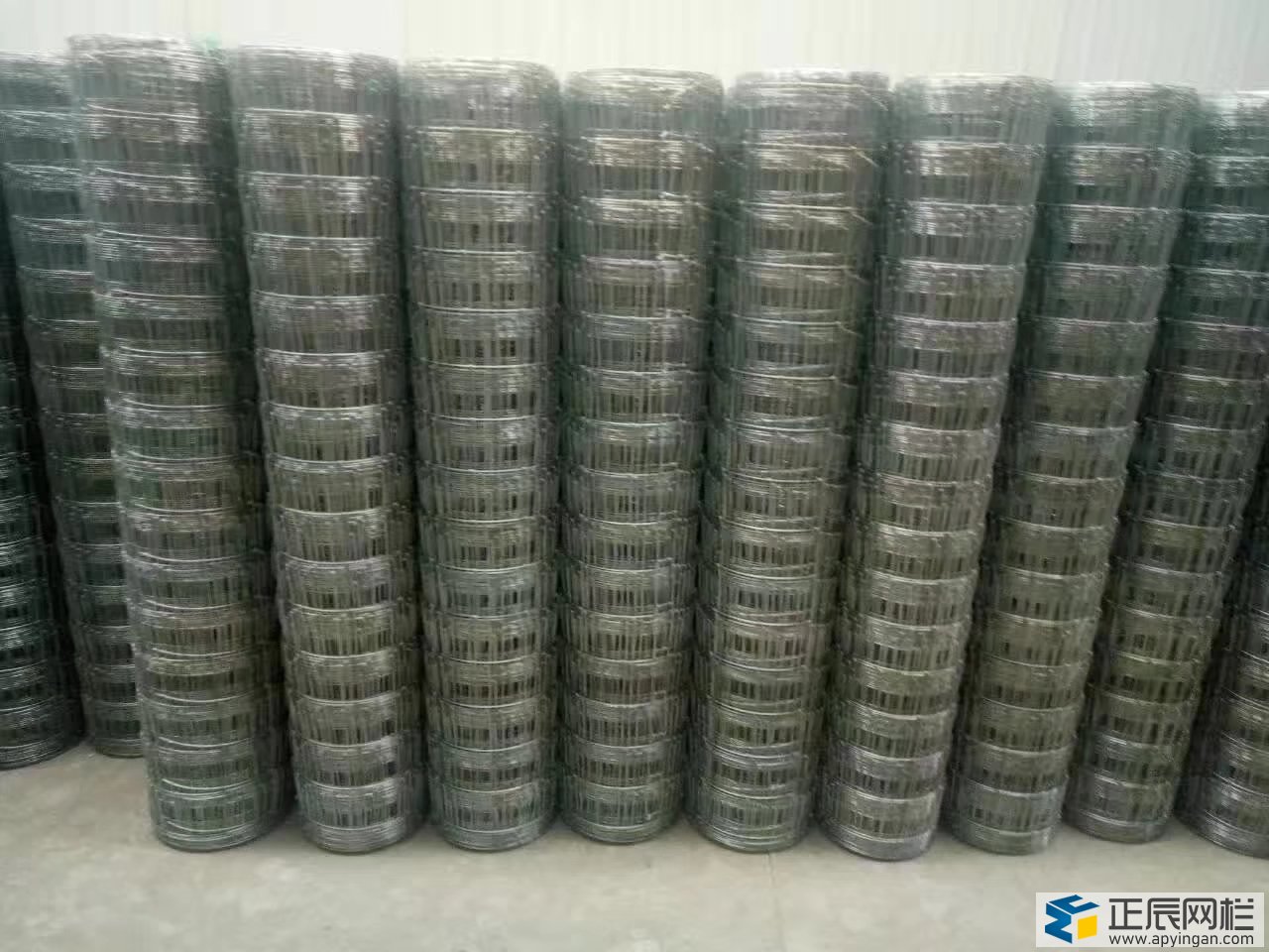 護欄網(wǎng)廠家現(xiàn)貨供應