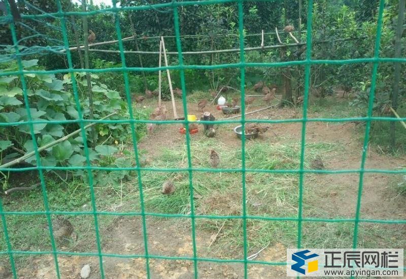 養殖場圍網