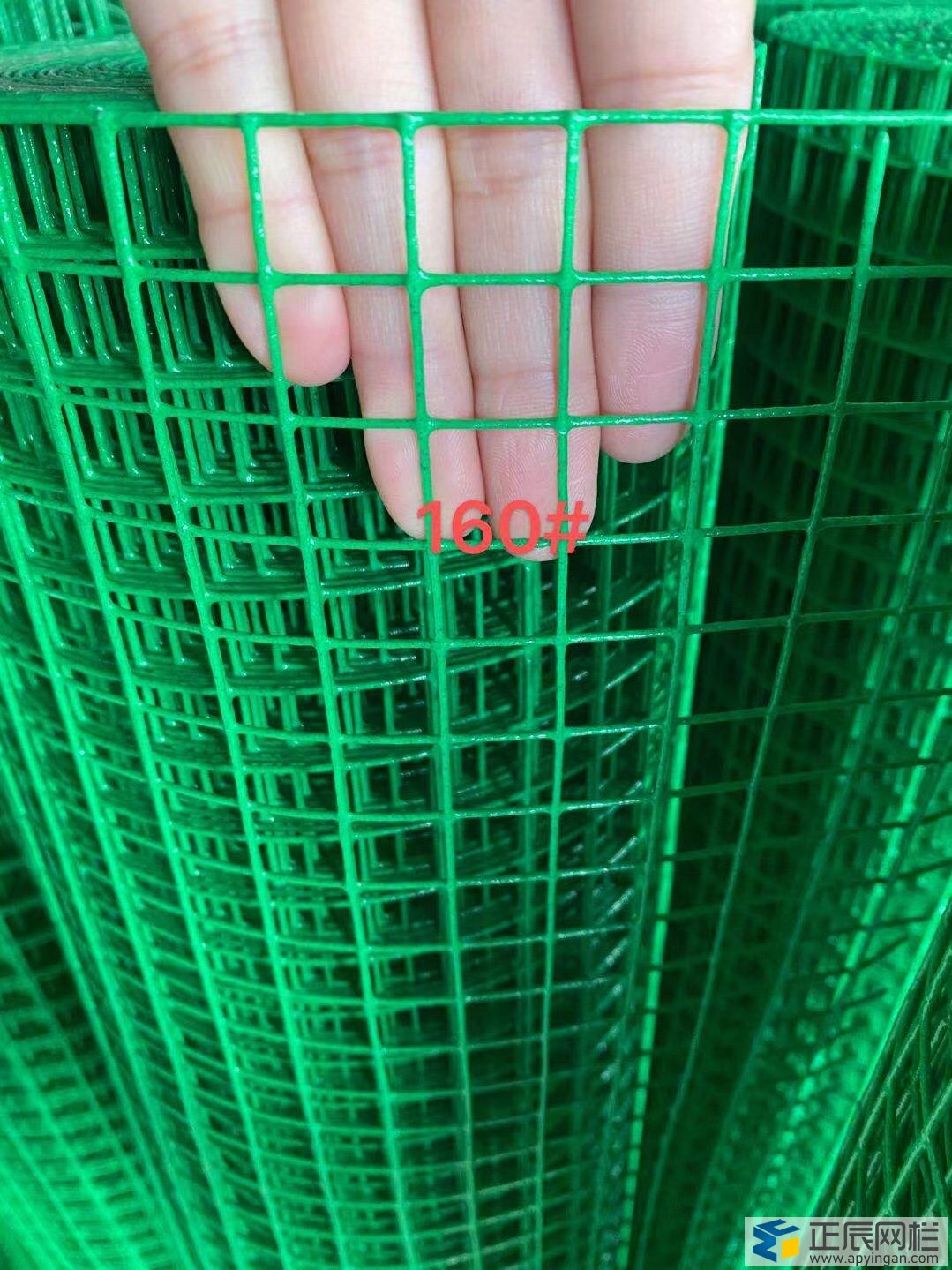 養(yǎng)雞護(hù)欄網(wǎng)