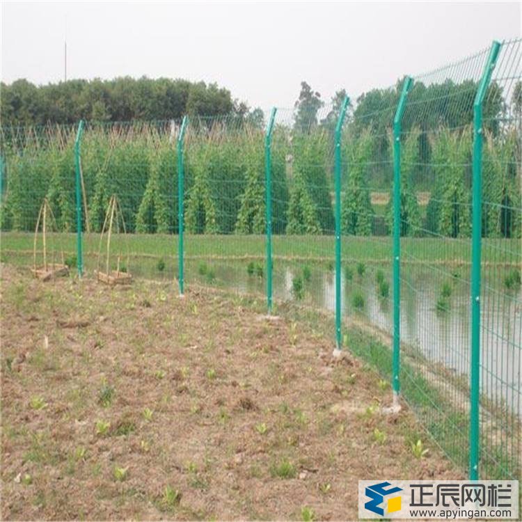 河道護欄網